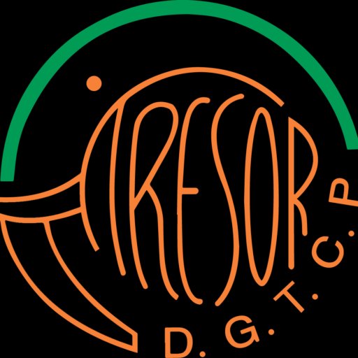 Trésor DG